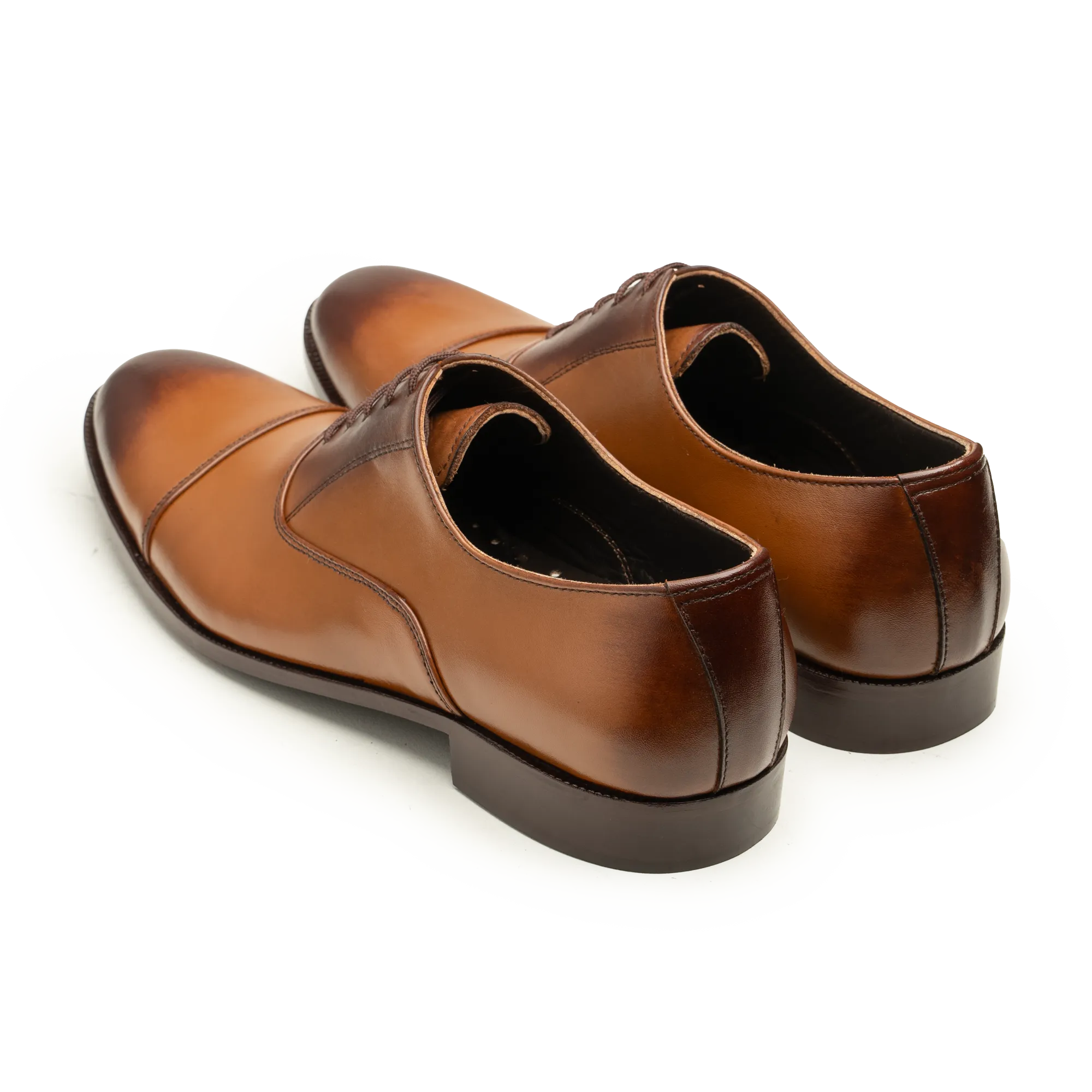Oxford - AM 2 TAN